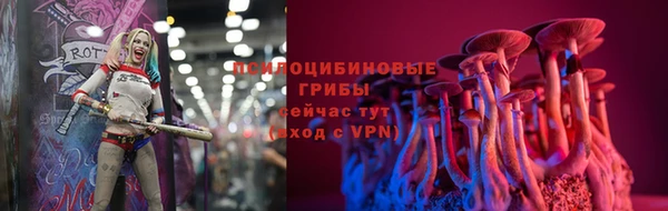 круглые Магас