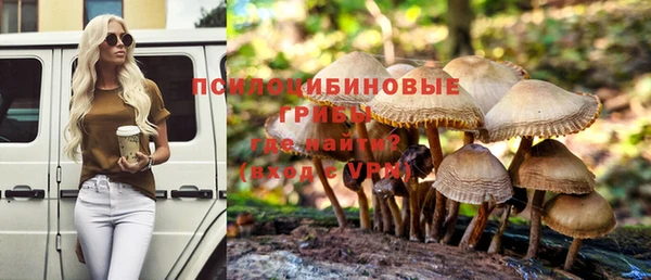 скорость Медвежьегорск