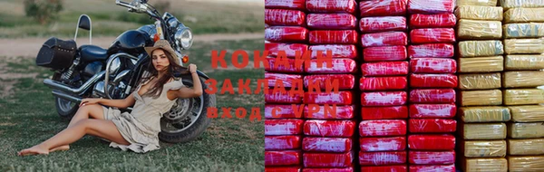 прущие крисы Магадан