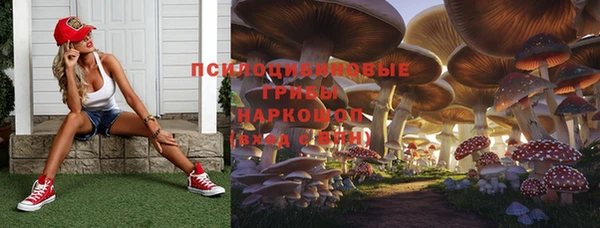 круглые Магас