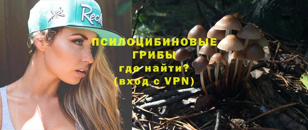 круглые Магас