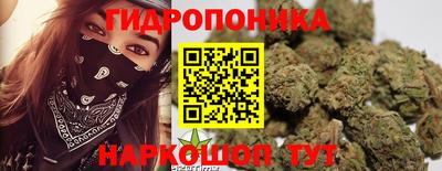 гидра Абакан