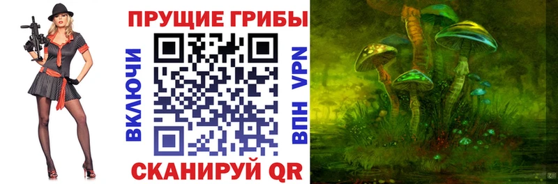 Псилоцибиновые грибы GOLDEN TEACHER  Мурино 