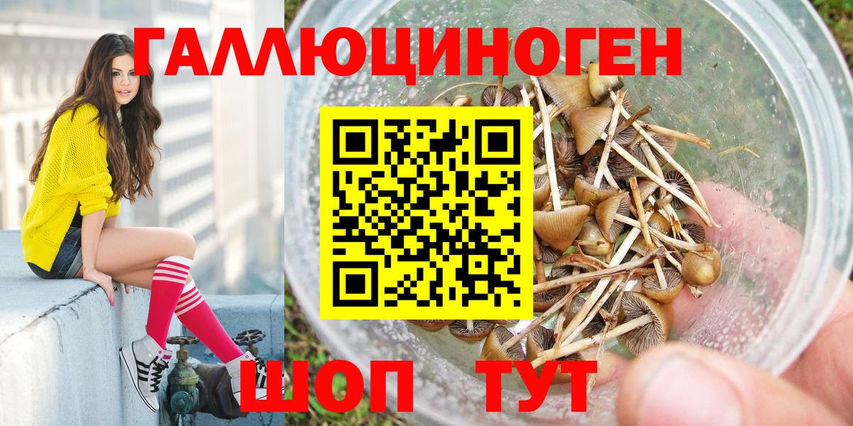 Псилоцибиновые грибы MAGIC MUSHROOMS Мурино
