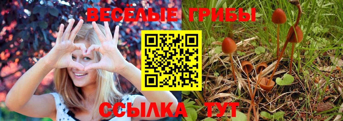 Галлюциногенные грибы GOLDEN TEACHER Мурино