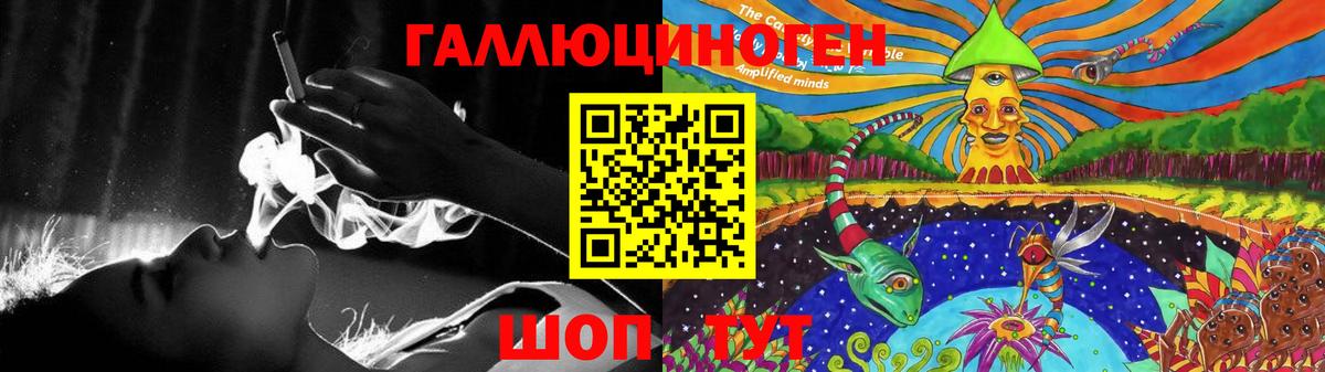 Псилоцибиновые грибы GOLDEN TEACHER  Вход с VPN  Мурино 
