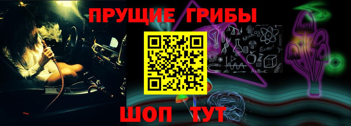 Псилоцибиновые грибы Psilocybe  Мурино 