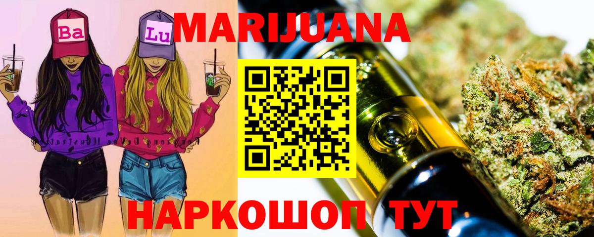 Конопля сатива Мурино